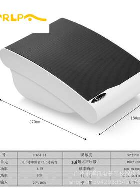 CWBTTRLLPAC651II壁挂音箱壁式音响校园广播教室喇叭音响挂墙挂音