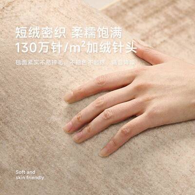 地毯客厅秋冬2025新易款意理式极EON简轻津奢天地毯耐脏打地毯大