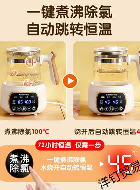 生壶家用恒温泡奶奶温调器蒸汽奶喷淋式办公室煮养茶器烧ZG-13C01