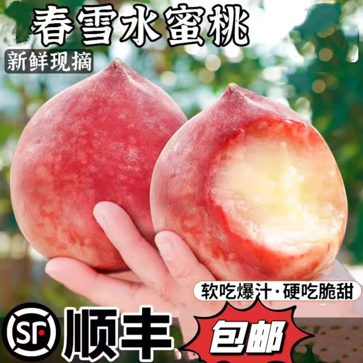 河北新鲜春雪水蜜桃脆桃毛桃当季时令孕妇桃子多汁水果新鲜脆甜