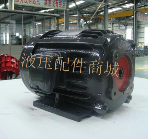 TRADE S.Y MARK 台湾群策 1.5KW 液压电机 C02-43B0油泵专用2HP