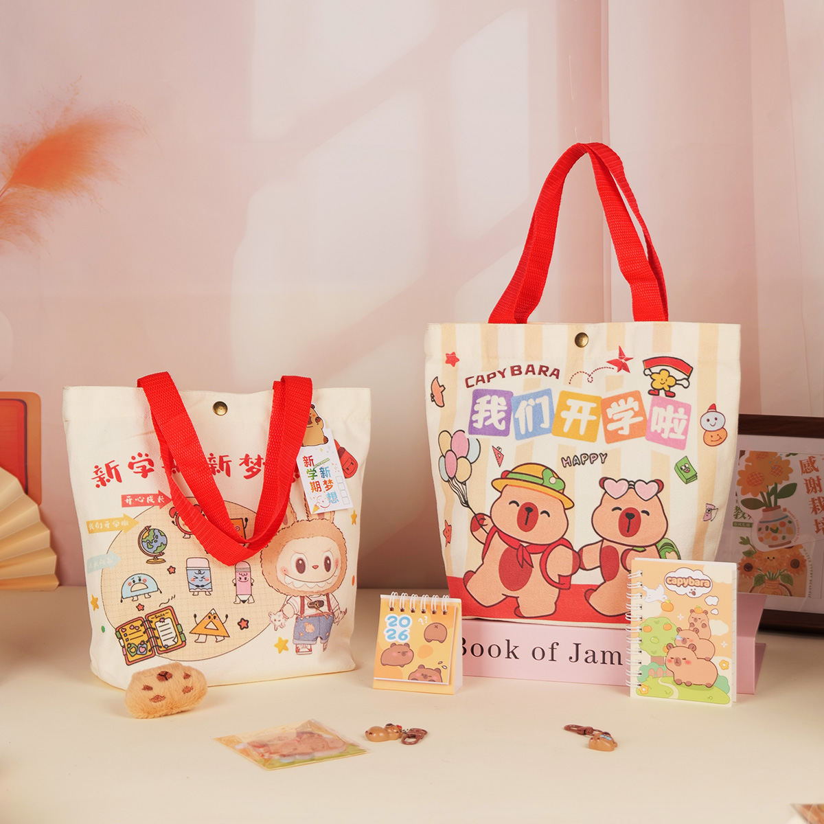 2025开学仪式感礼物袋手提伴手礼袋帆布袋幼儿园一年级开学季礼袋