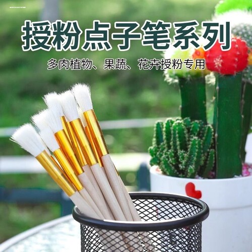 授粉毛笔授粉刷授粉点子笔蔬菜授粉笔果树盆栽人工授粉等包邮送材