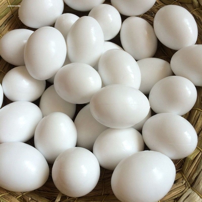 鸽子用品用具假鸽子蛋假蛋实心假蛋孵卵用品鸽子