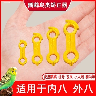 鹦鹉脚爪矫正器八字脚纠正环脚环芦丁鸡牡丹虎皮玄凤八哥和上鹦鹉