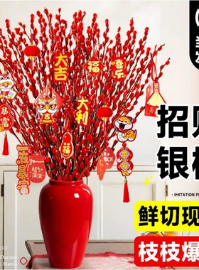 银柳真花鲜枝年宵花红色银柳干花耐寒盆栽水培花卉易活植物室内花