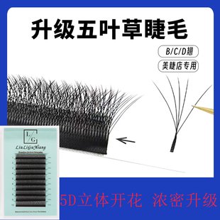 0.05升级五叶草嫁接睫毛浓密yy自动开花5D美睫店专用种植假睫毛