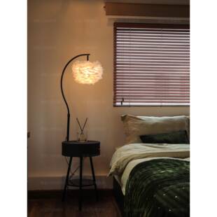 羽落地灯卧室床头柜氛8802体中古一风客厅沙发旁网红覆古围毛感立