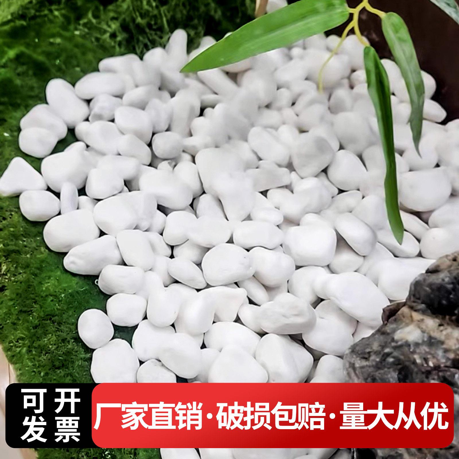 0造天然白石4子景庭院景观铺路花盆斤鱼缸多肉铺面鹅白石子卵石工图片