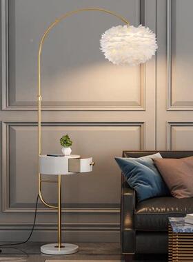 斯网的纳维亚风羽毛落地灯堪客厅沙发落侧卧室68550床头气氛灯豪