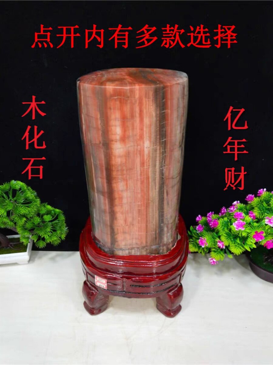 包邮奇石原石观赏石头木化石树化玉硅化木家居摆件鸡血红石收藏品