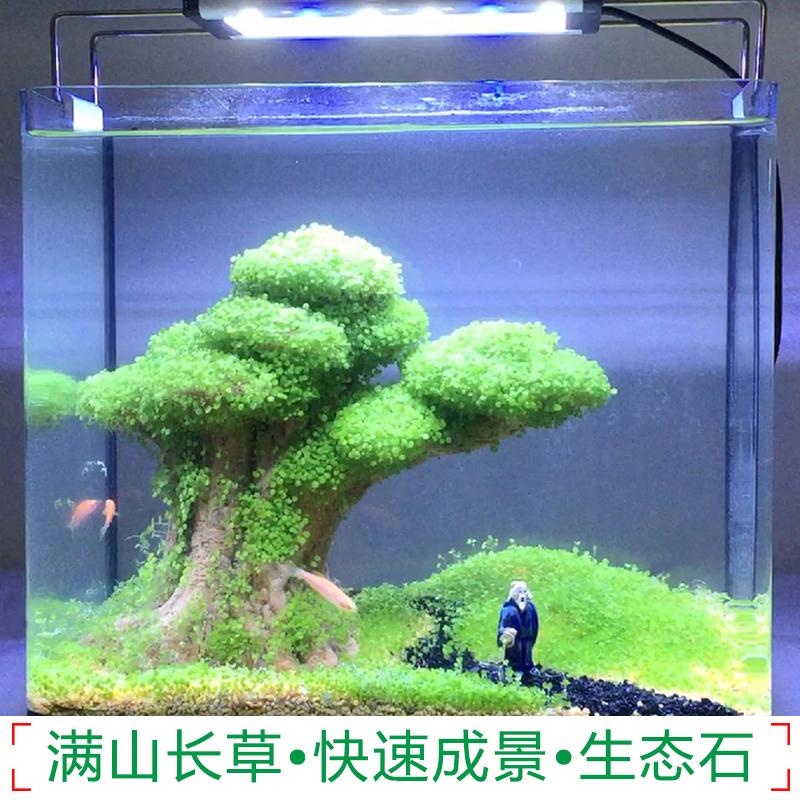 鱼缸造景小号假山装饰套餐天然水草石头草缸水族箱布景奇石观赏石