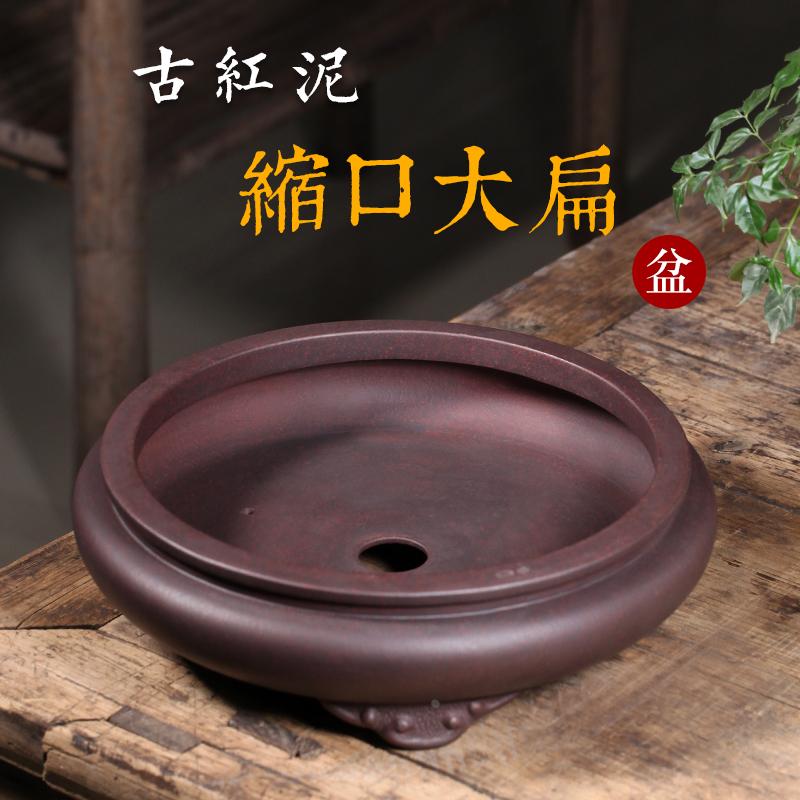 黄杨盆景紫砂花盆 大号扁圆口径浅型庭院花盆客厅阳台松柏树古典