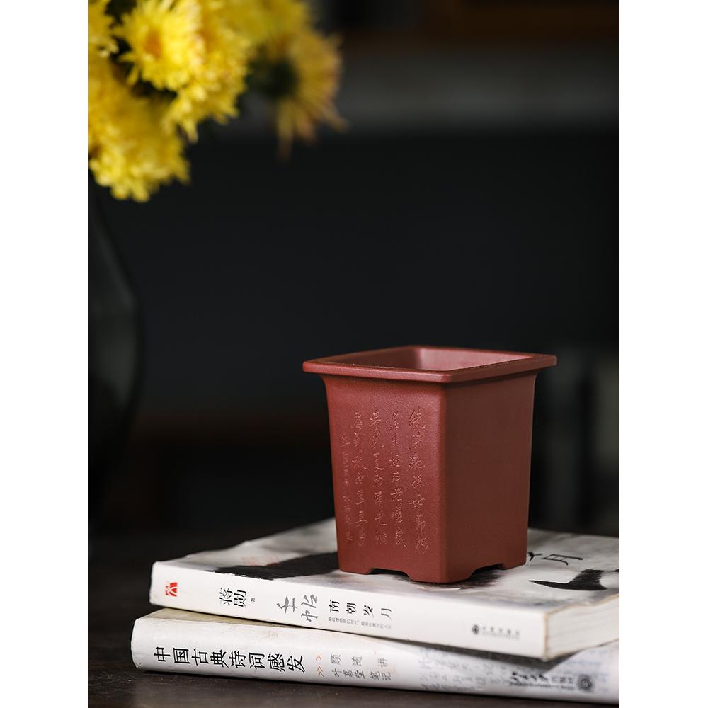玖紫轩精品紫砂花盆胡剑红清水泥小千筒绿植多肉竹子菖蒲微型桌面