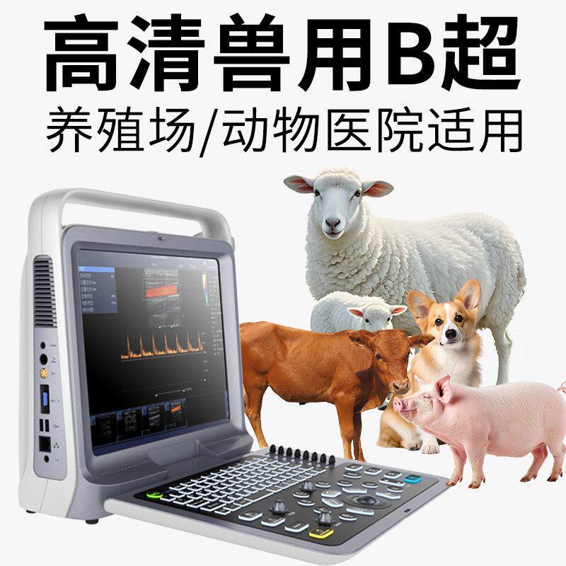 鲟鱼专用B超机兽用便携式