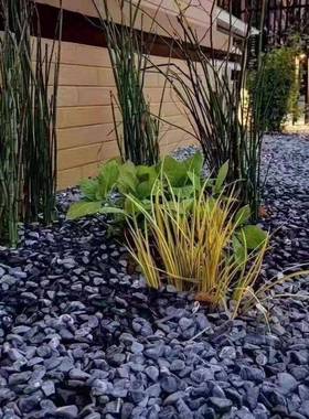 黑色砾石碎枯山水造石景灰黑工鹅卵石深石ZSA程铺路枯山水造景石