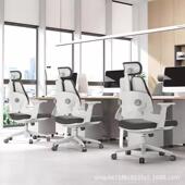 电脑椅人体工学椅家用办公椅舒适久坐可调腰护电椅TCW竞书桌学习