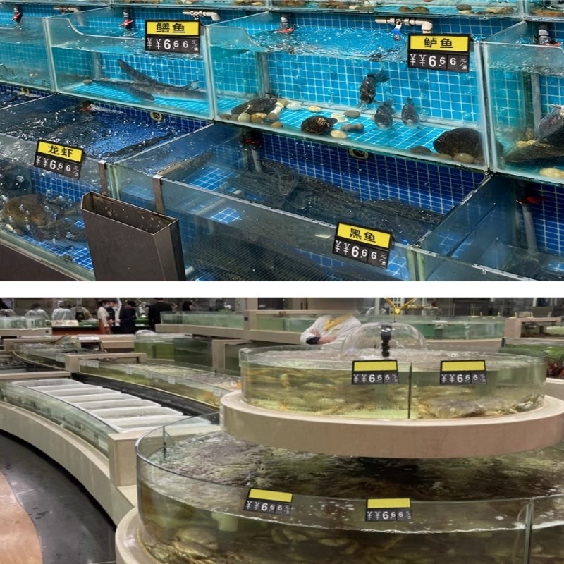 超市酒店海鲜池标价牌防水鱼缸价格牌水产标签生鲜展示牌伸缩挂牌