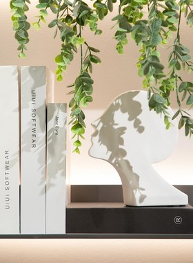 软装搭配书房饰品现代装饰书柜书桌台面花瓶几何