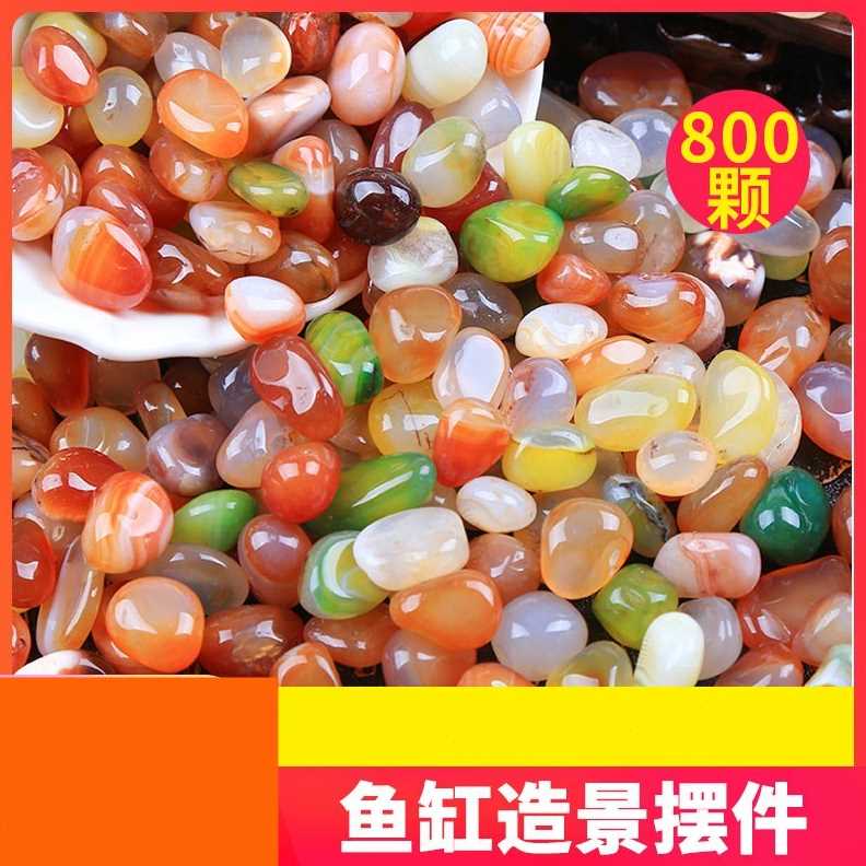 现货速发Botm sad ladscapig sad  purifatio fish tak bo
