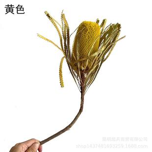 北欧干花风格 ins干花花束客厅花瓶斑克木商场布置