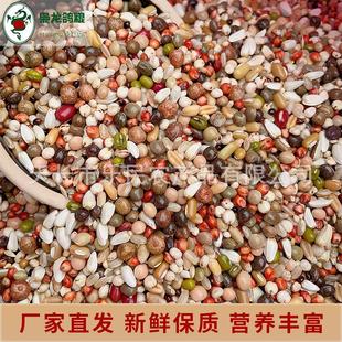 育雏2号10公斤喷窝育雏饲料鸟食赛鸽信鸽鸽子粮