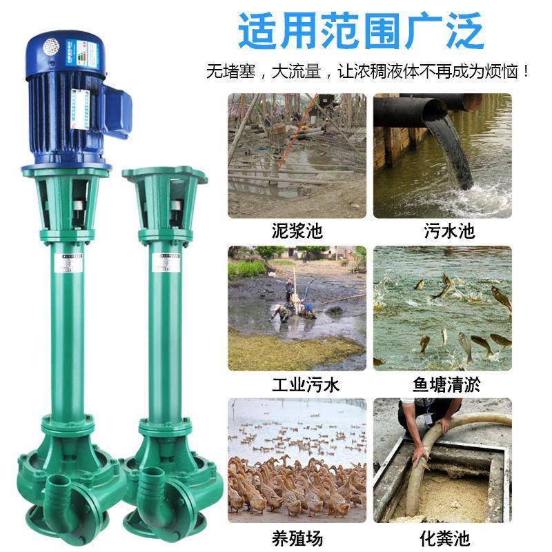 污立式泥浆泵抽粪水水泵污3液80V鱼塘清淤泥泥浆抽沙切割TDP下泵