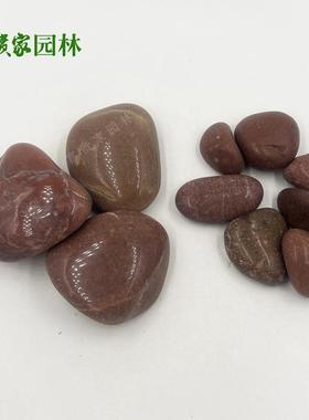 抛光红色鹅石卵雨花石工程FOB装饰红水池垫底富贵家园林造景卵石