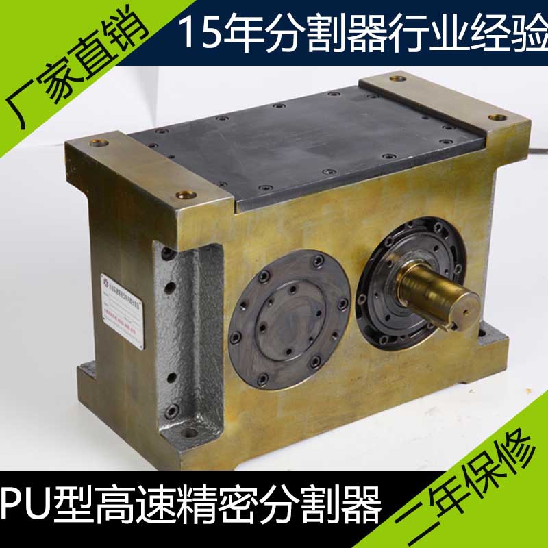PU225DS-2-300电动凸轮分度盘