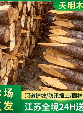 打桩林场木供道IOC整治防汛木河桩杉直木桩销尖木桩河道桩