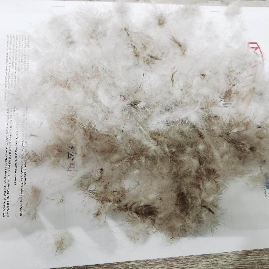 灰011标90灰鸭绒水洗羽朵绒TVI蓬松大290绒填充原料