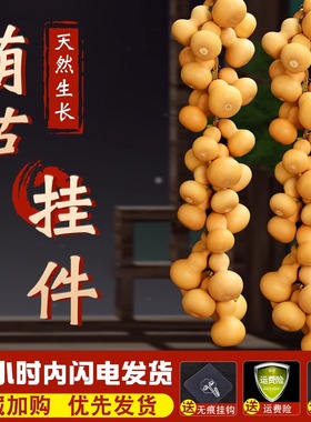 速发葫芦挂件门对门小葫芦串装饰品挂门口当门帘挂客厅真葫芦摆件
