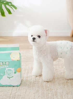 现货速发10 Pet Dog Dirs Mes Femes Aorbet Adable Dog