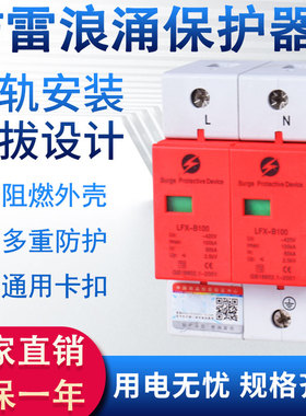 速发防雷p涌保护器光浪上海人民2p抑制器一级二级spd单相家用4伏