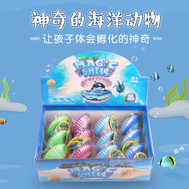 泡水膨胀变大贝壳玩具儿童神奇泡