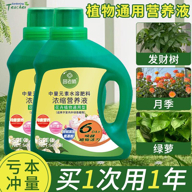 营养液植物通用型盆栽水培富贵竹绿萝发财树营养液月季花专用肥料