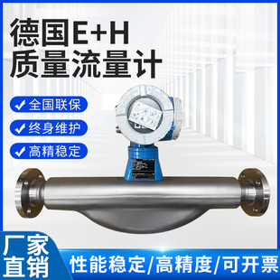 100 8040 进口恩斯豪斯质量流量计仪表仪器DN25 全新德国原装