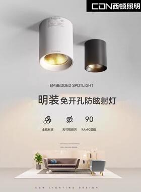 西顿照明CDN明装射灯免开孔吸顶客厅卧室走廊led天花灯CEX9101C-J