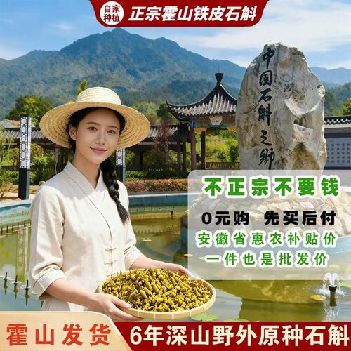 正宗安徽霍山铁皮石斛石斛枫斗纯粉滋补正品官方旗舰店中药材500g