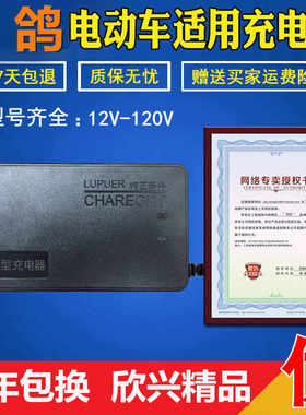 速发6鸽电动车电瓶车载通用6V48V12AV60V64V72H80V84V赛V20A2A