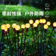 户外景观灯萤火虫j接电圆球灯防水庭院花园灯草丛装 饰灯亮化草坪