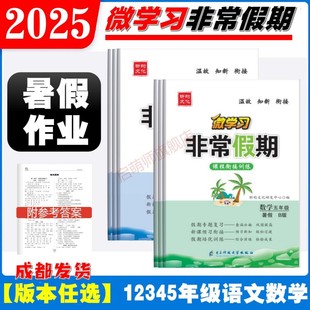 假期专题复习温故知新衔接预习 暑假衔接 2025微学习非常假期暑假课程衔接训练一二三四五六年级语文人教版 数学人教北师西师版