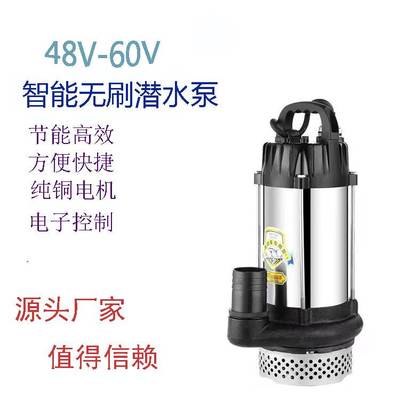 厂家直流潜水泵48-72v电瓶三轮电动车大流量抽水泵农用不锈钢水泵