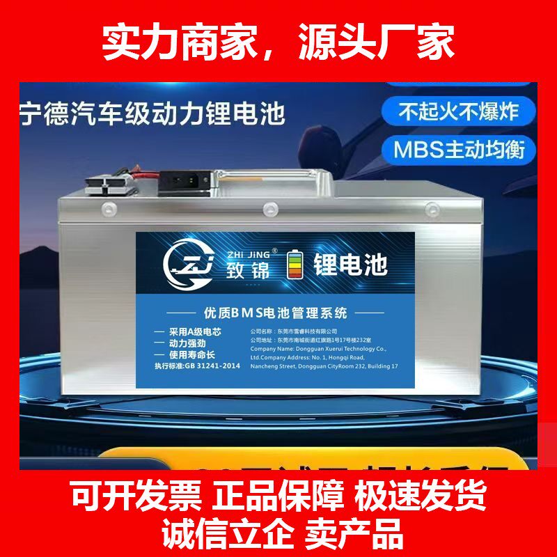 德国十大品牌48V60V72V宁德超大容量锂电池电动三四轮车老头乐摆