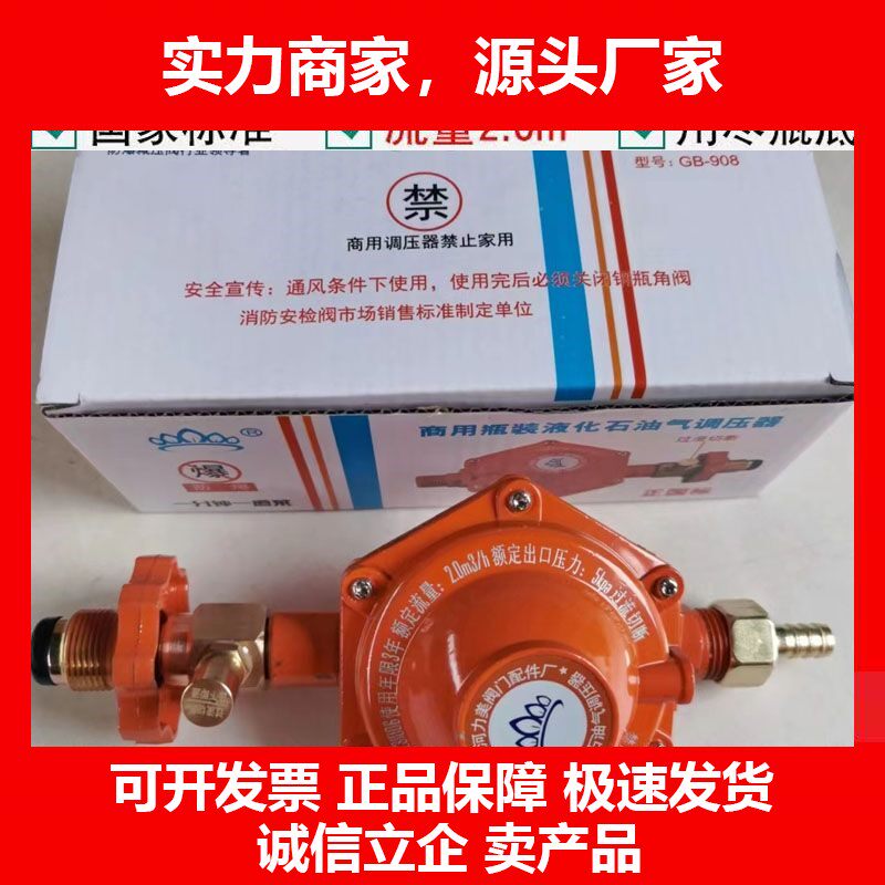 德国十大品牌商用SYT2.0减压阀防爆安全自闭阀低压猛火灶饭店专用