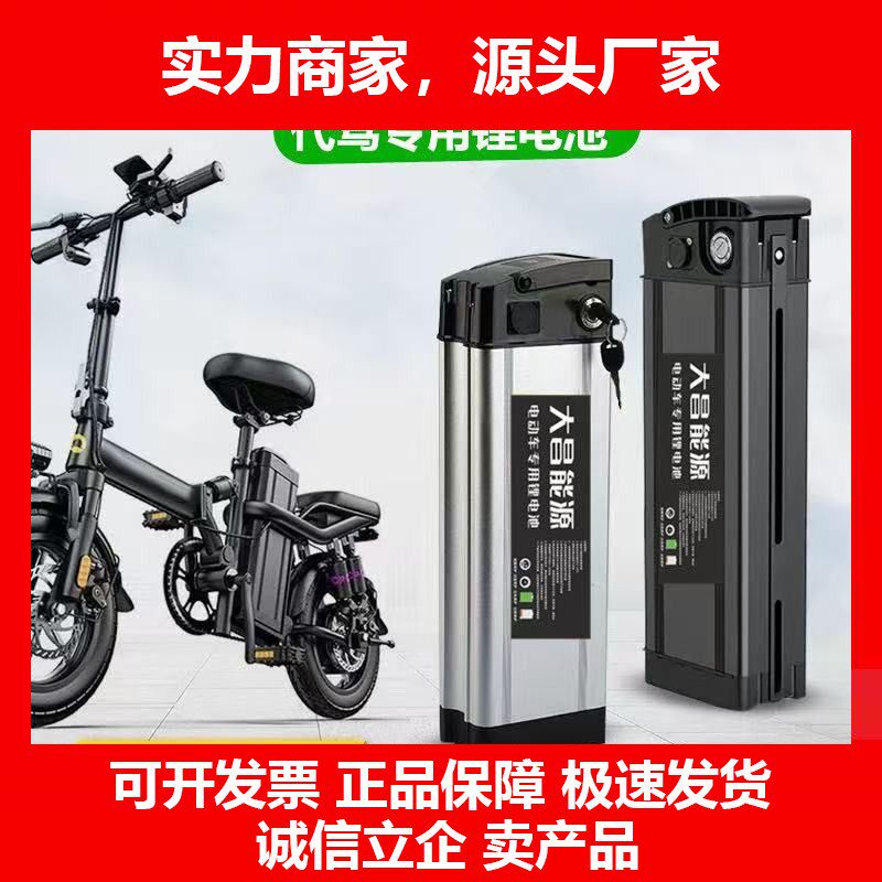 德国十大品牌电动车锂电池48V2030ah折叠电动车锂电池代驾大容量