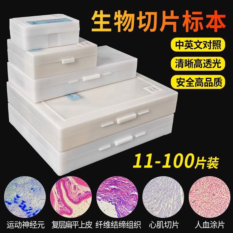 生物切片显微镜配件观察本动物植物细胞昆虫样本载玻片儿童实验