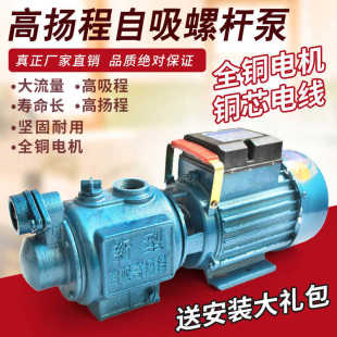 全自动家用螺杆自吸泵太阳能上水深井抽水自来水增压泵无塔供水泵