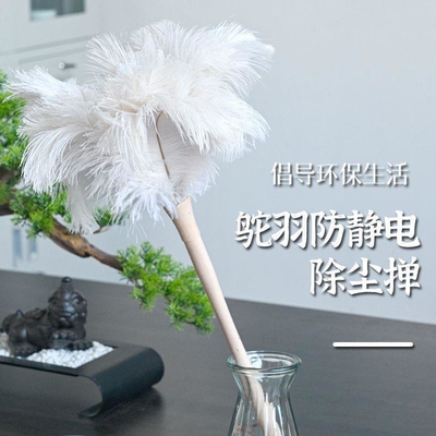 静电真鸵鸟毛掸子迷你鸵鸟羽毛掸子除尘家用小鸡毛掸子掸灰除尘刷
