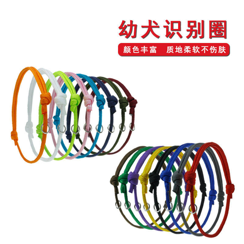 新生狗狗猫咪识别圈颈圈项圈小狗幼猫身份识别圈带幼犬装饰尼龙绳